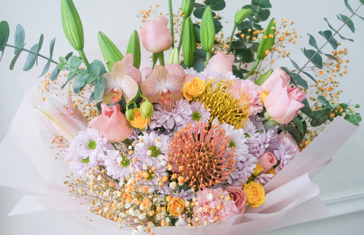 Guía de Luz + orquídea