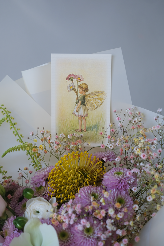 Daily Fairy