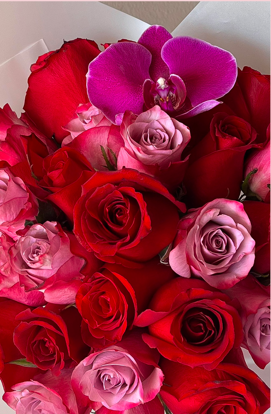 Valentín de mi Corazón