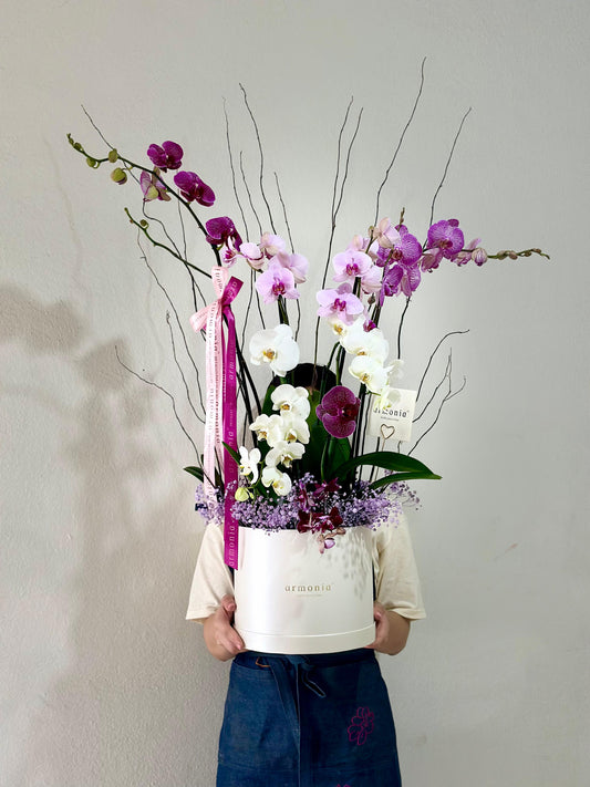 JARDIN DE ORQUIDEAS