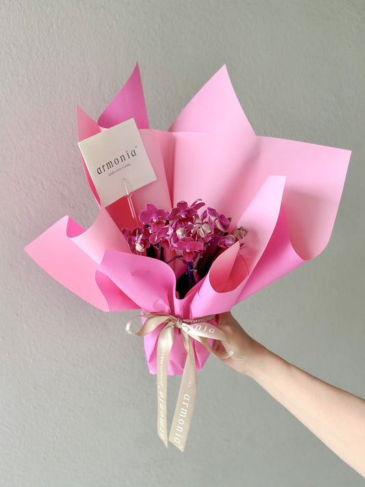 Mini orquídeas con envoltura