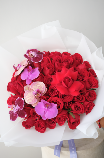 Amor Escarlata
