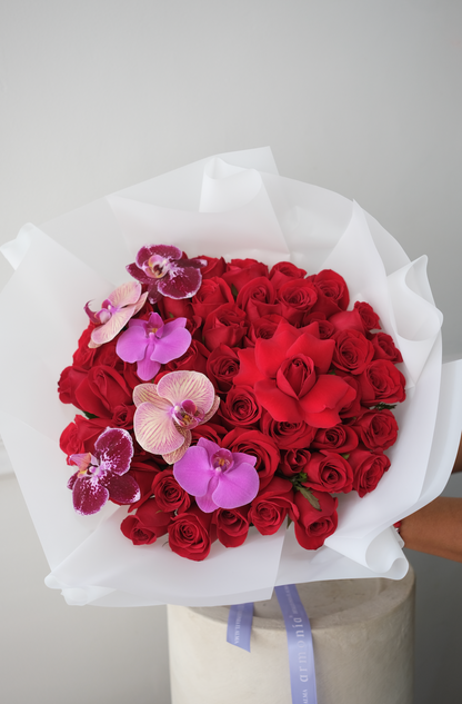 Amor Escarlata