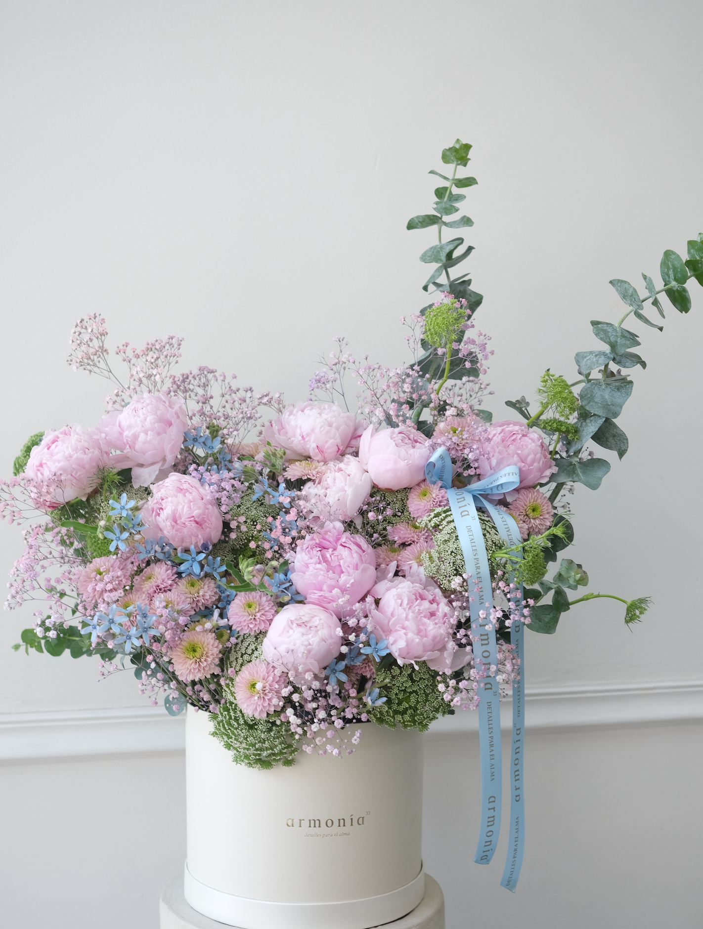 Nube de Peonias
